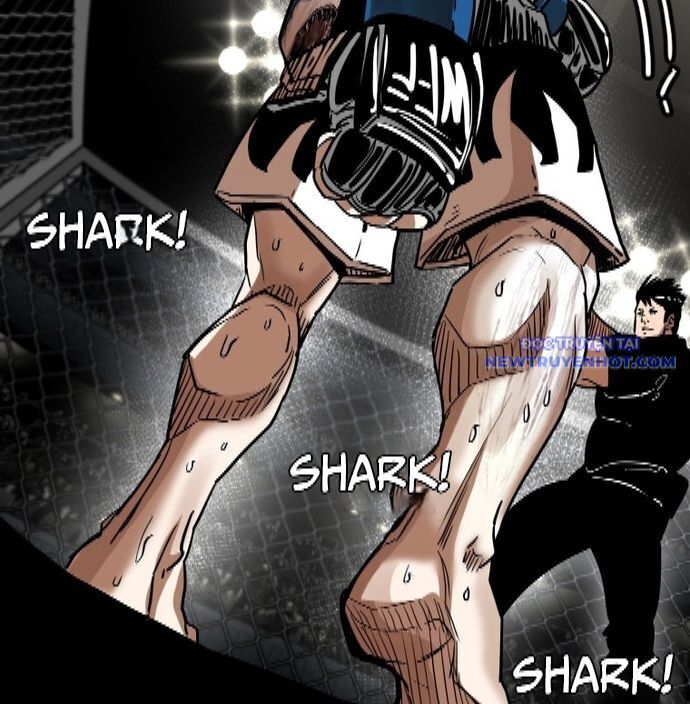 Shark - Cá Mập Chapter 341 - Trang 2