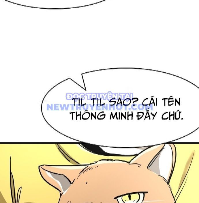 Shark - Cá Mập Chapter 347 - Trang 2