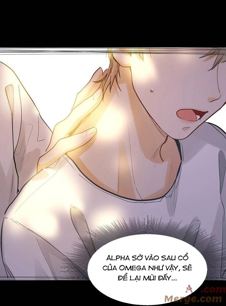 Tôi Thích Pheromone Của Cậu Chapter 32 - Next Chapter 33