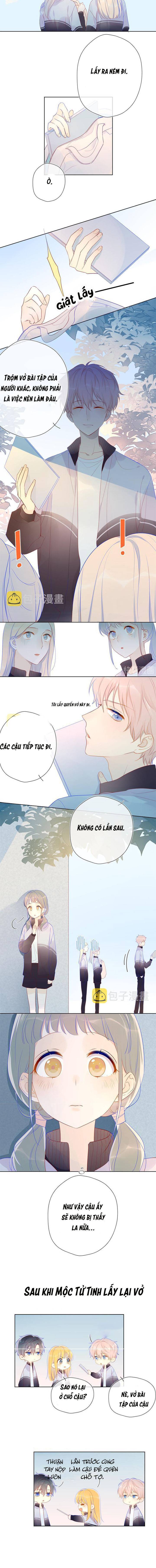 Ngôi Sao May Mắn Dành Cho Tôi Chapter 12 - 5