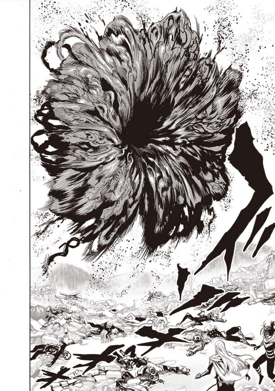 Onepunch Man Chapter 247 - 14