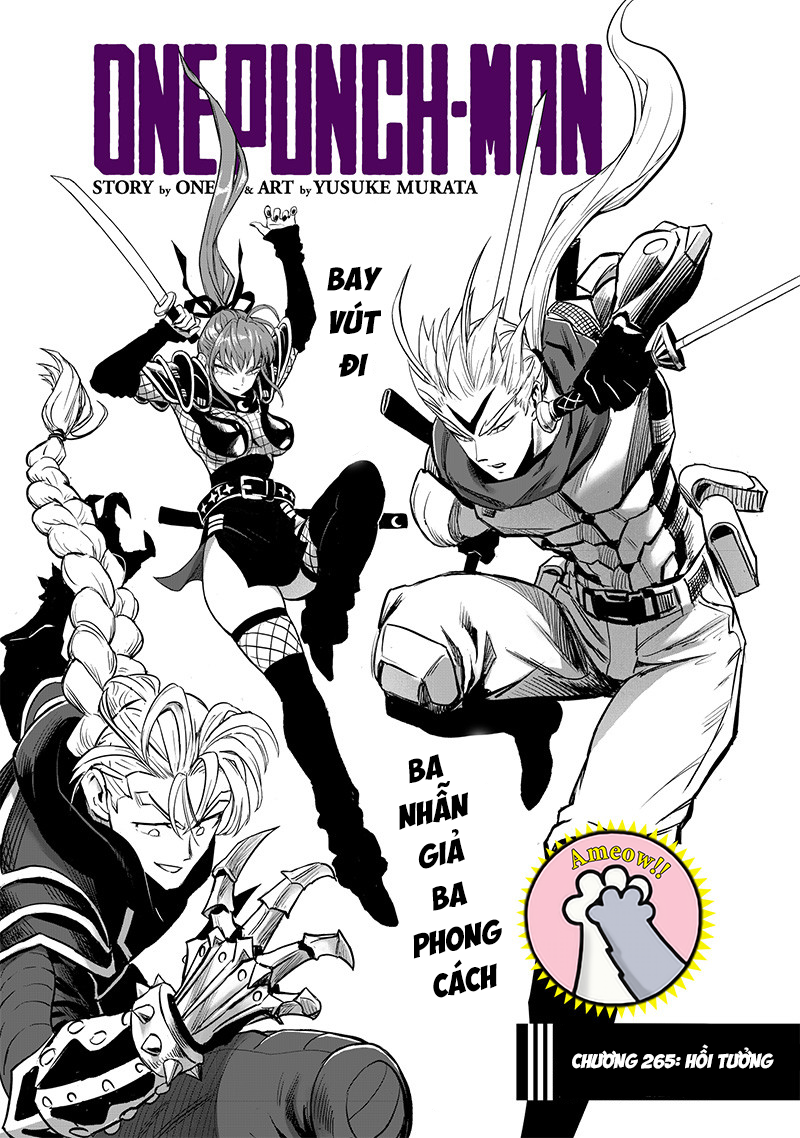 Onepunch Man Chapter 265 - 3