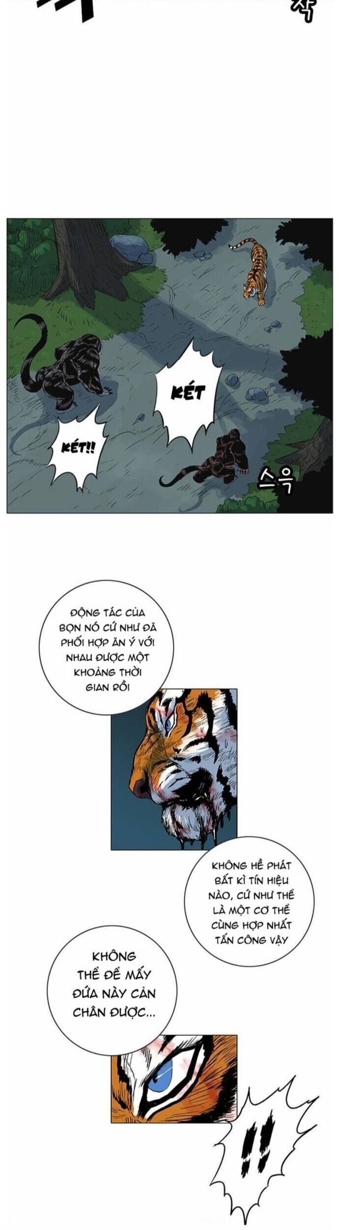 Anh Trai Tôi Là Hổ Chapter 65 - 14