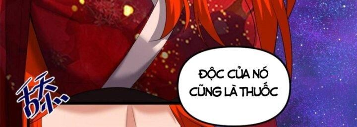 Ta Tu Có Lẽ Là Giả Tiên Chapter 308 - 120