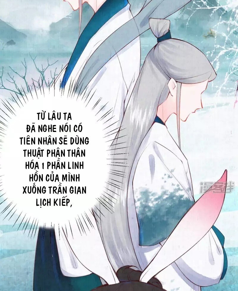 Sổ Tay Sinh Tồn Của Nàng Dâu Hoàng Gia Chapter 8 - 4