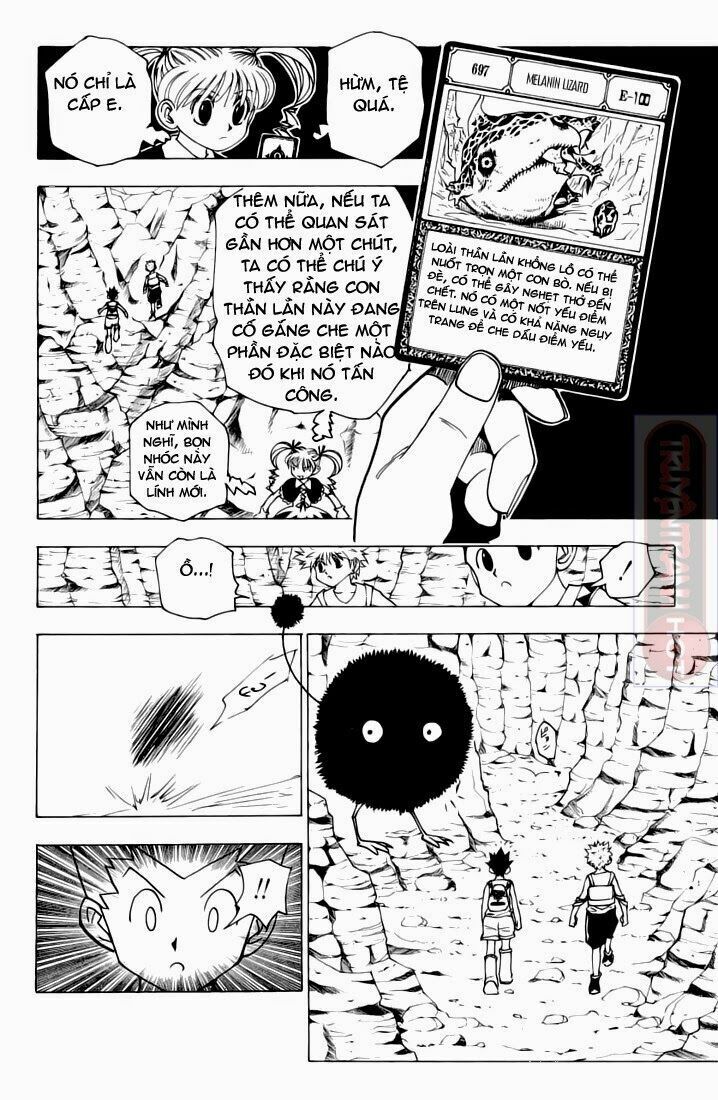 Hunter X Hunter Chapter 136 - 3