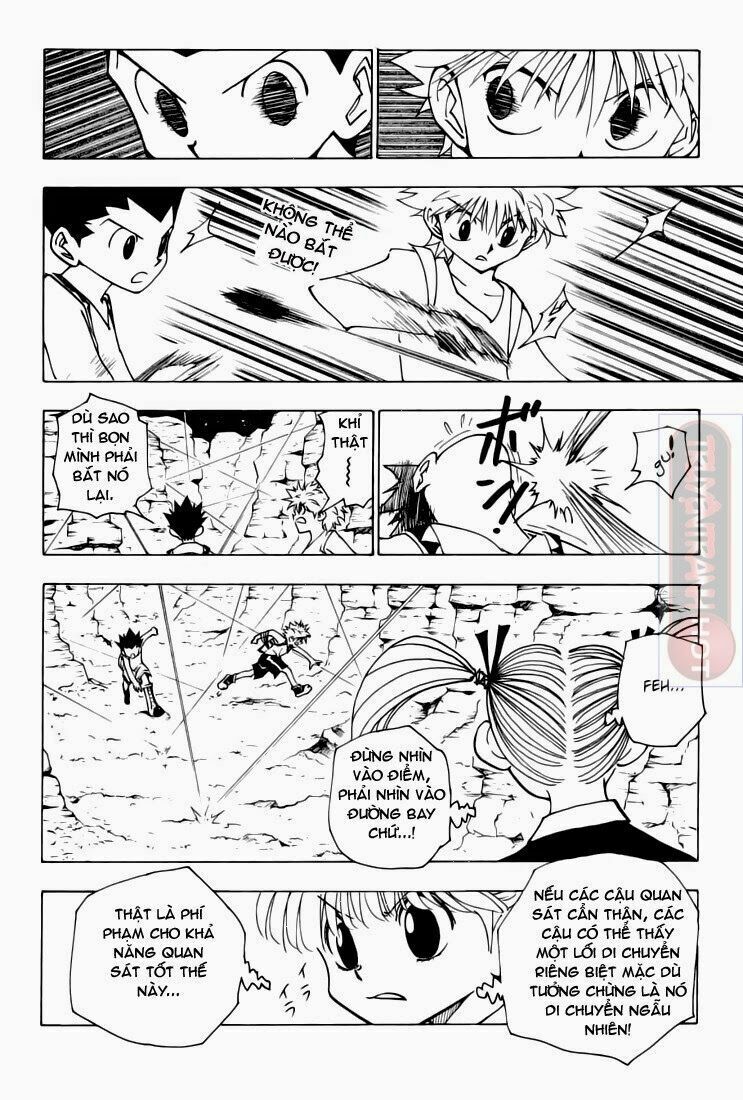 Hunter X Hunter Chapter 136 - 5