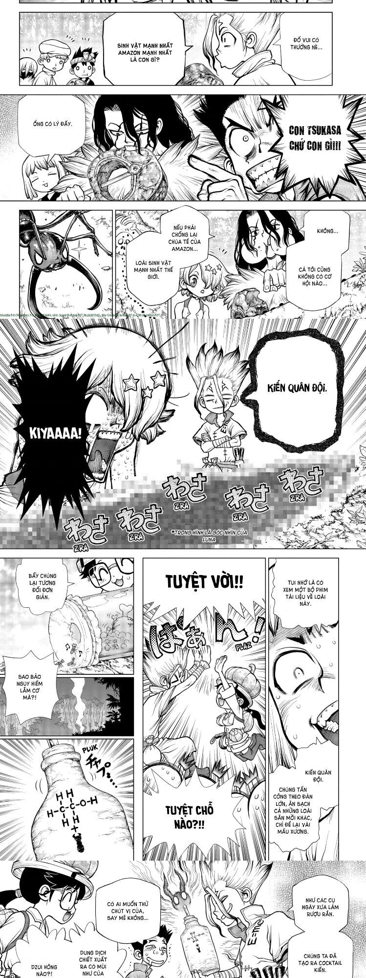 Dr.stone Chapter 180 - 4