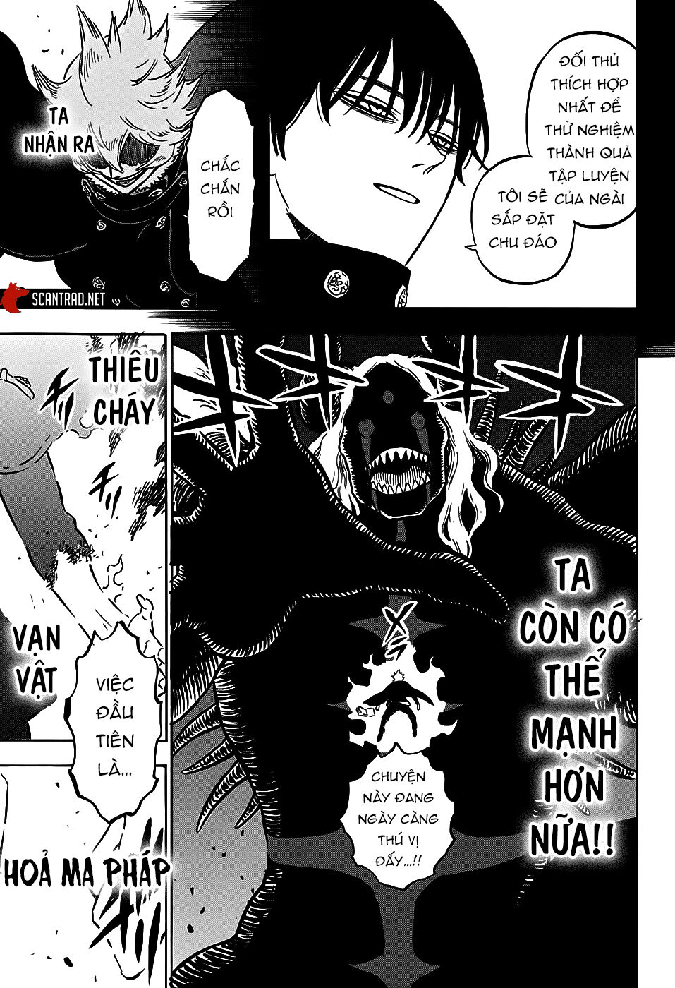 Black Clover - Thế Giới Phép Thuật Chapter 275 - 8