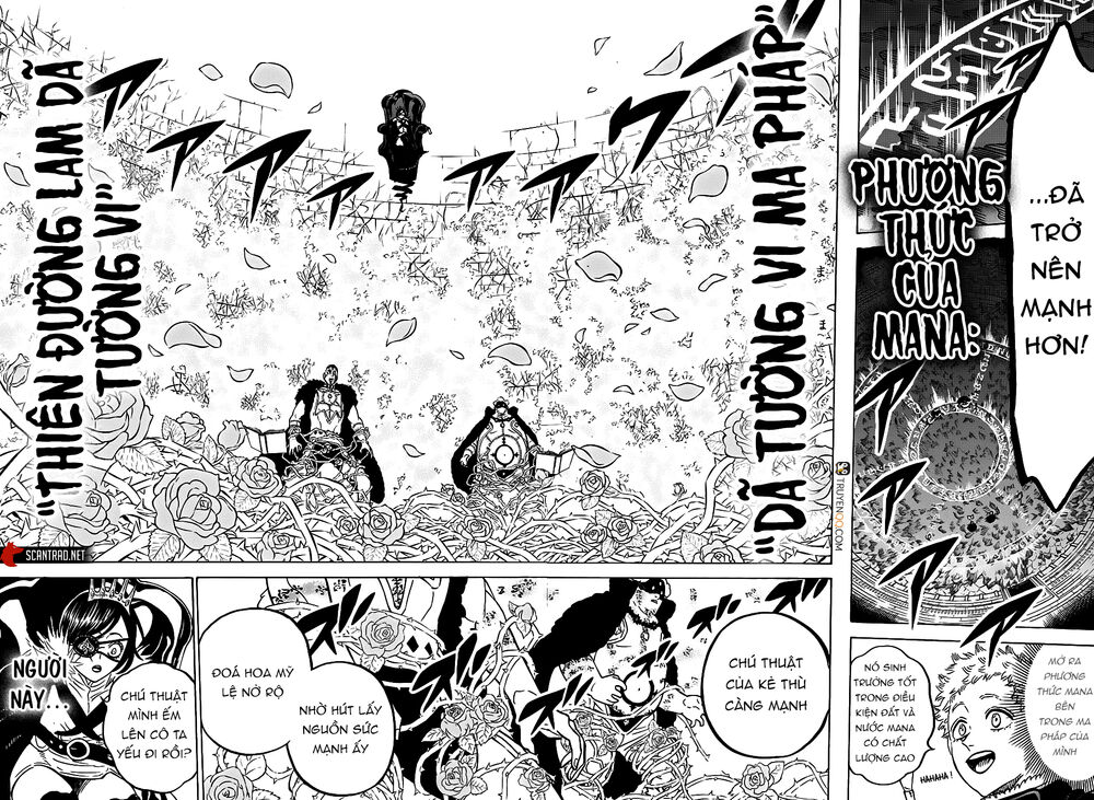 Black Clover - Thế Giới Phép Thuật Chapter 277 - 11