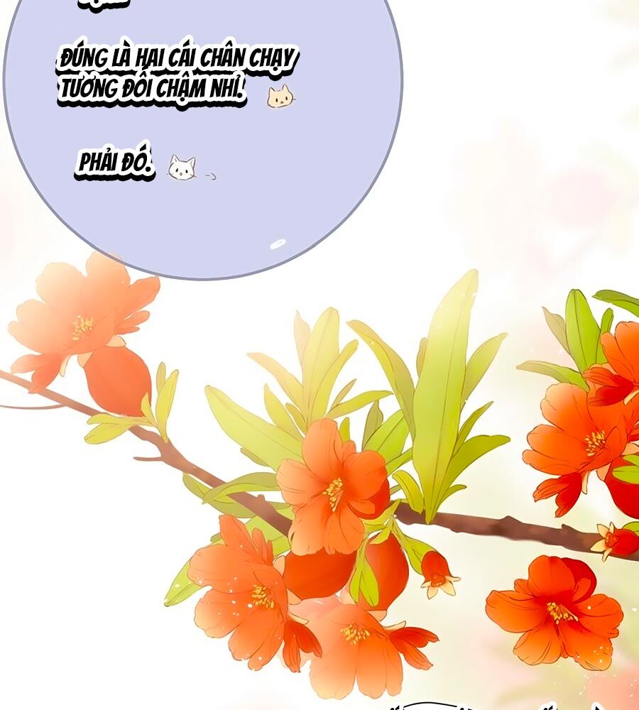 Lại Gặp Được Em Chapter 54.5 - 10