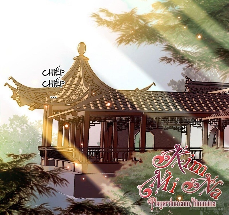 Tự Cẩm Chapter 41 - 30