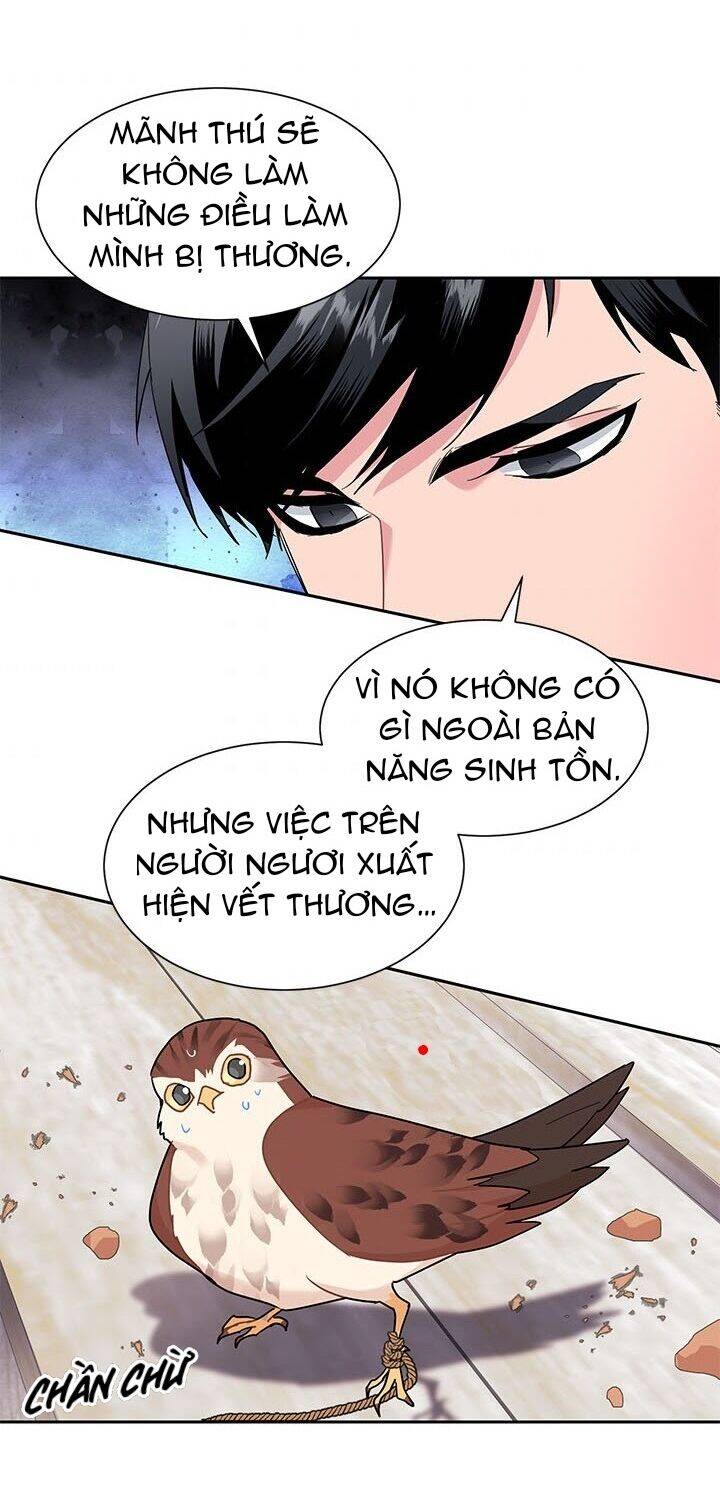 Công Chúa Của Loài Chim Chapter 9 - 30