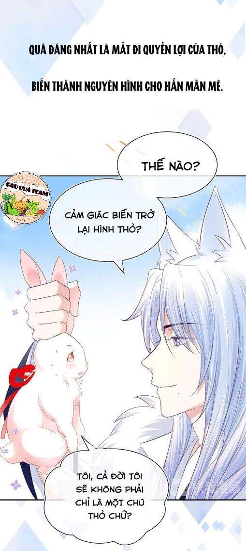 Hắc Hóa Nam Chính Trực Tuyến Nuôi Thỏ Chapter 1 - 14