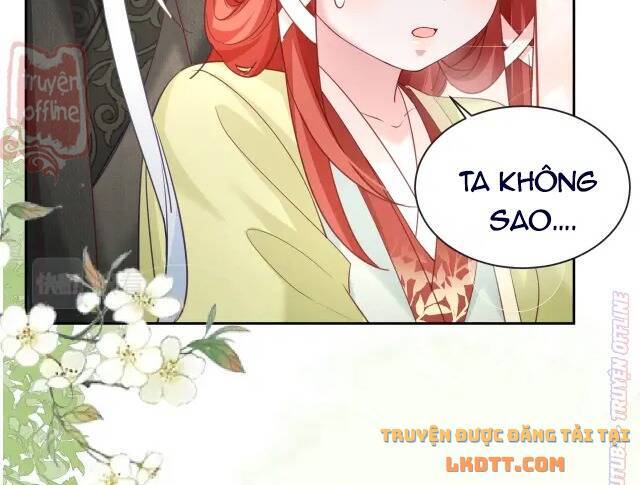 Hắc Hóa Nam Chính Trực Tuyến Nuôi Thỏ Chapter 49 - 11