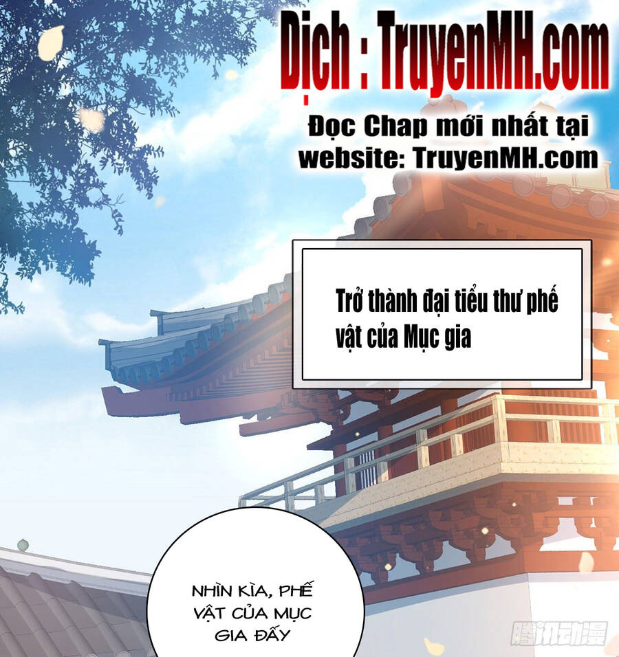 Kiều Mỵ Phu Lang, Tại Tuyến Lục Trà Chapter 4 - 8