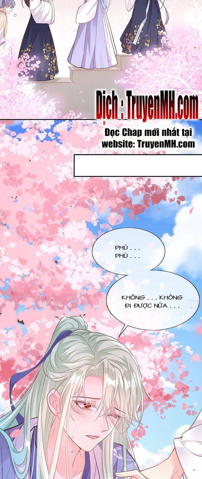 Kiều Mỵ Phu Lang, Tại Tuyến Lục Trà Chapter 47 - 4