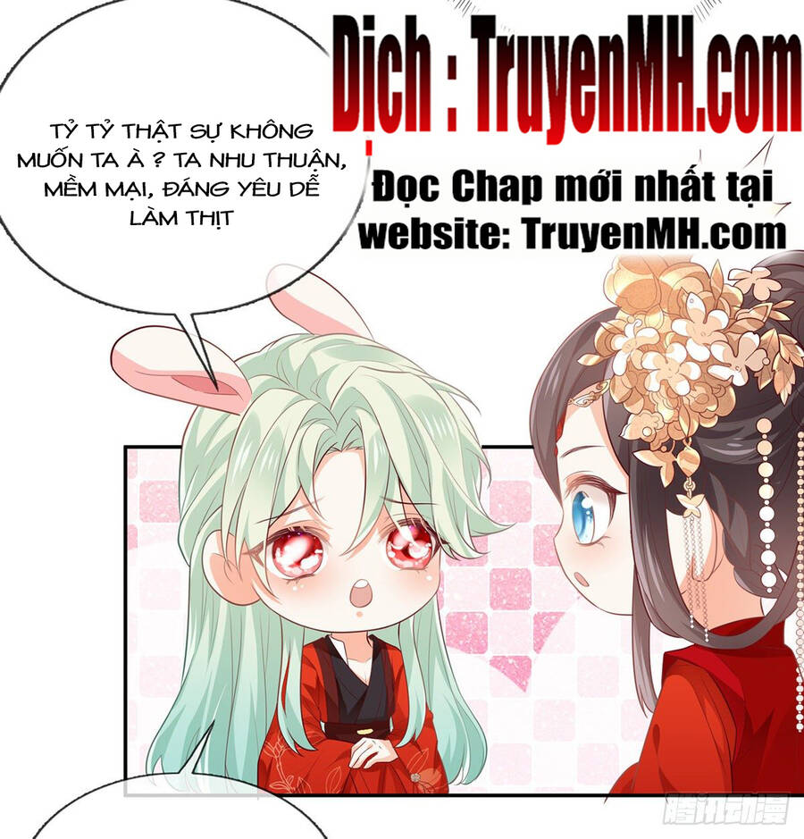 Kiều Mỵ Phu Lang, Tại Tuyến Lục Trà Chapter 5 - 3