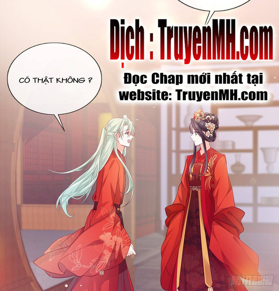 Kiều Mỵ Phu Lang, Tại Tuyến Lục Trà Chapter 5 - 9