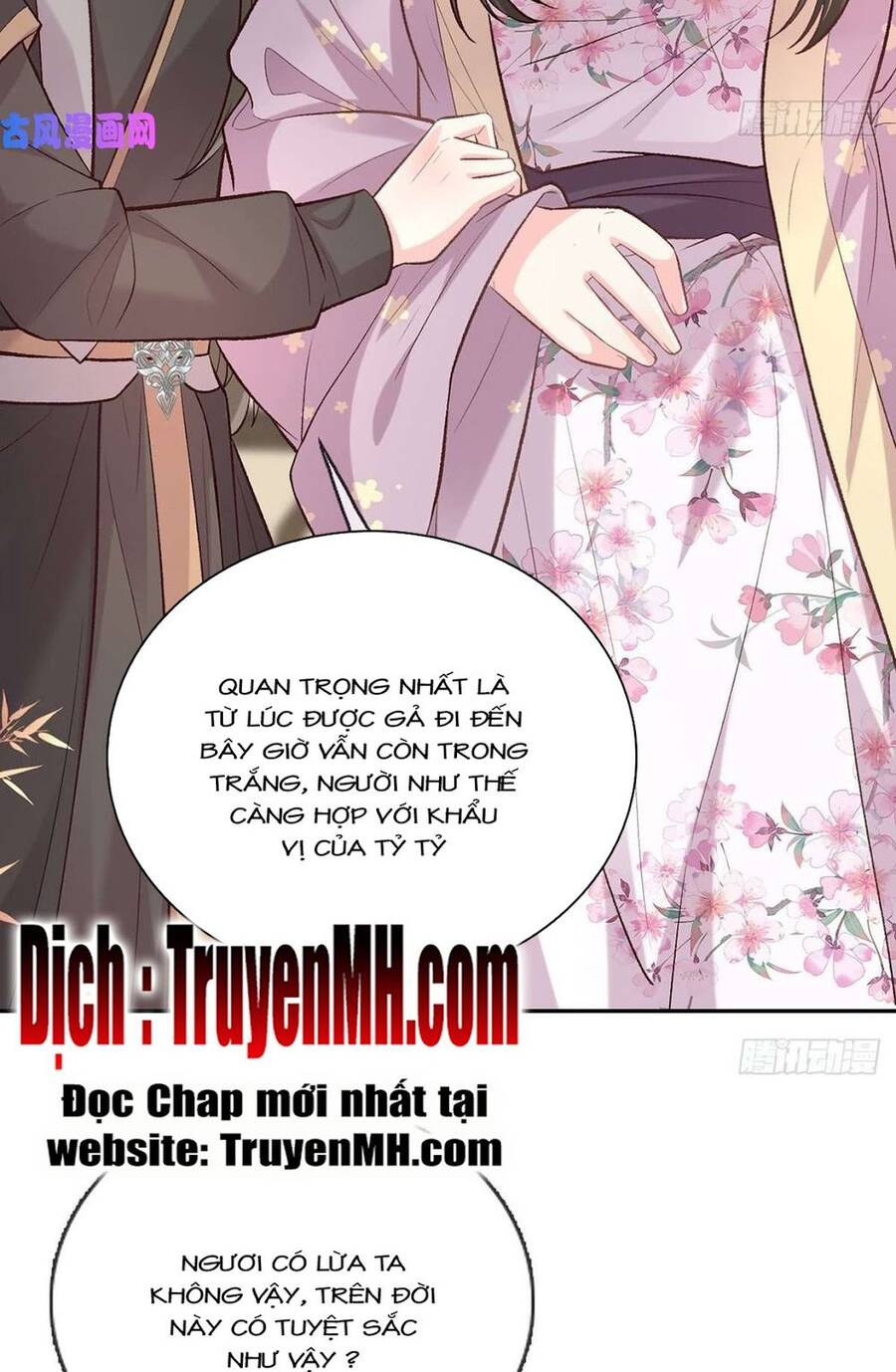 Kiều Mỵ Phu Lang, Tại Tuyến Lục Trà Chapter 59 - 3