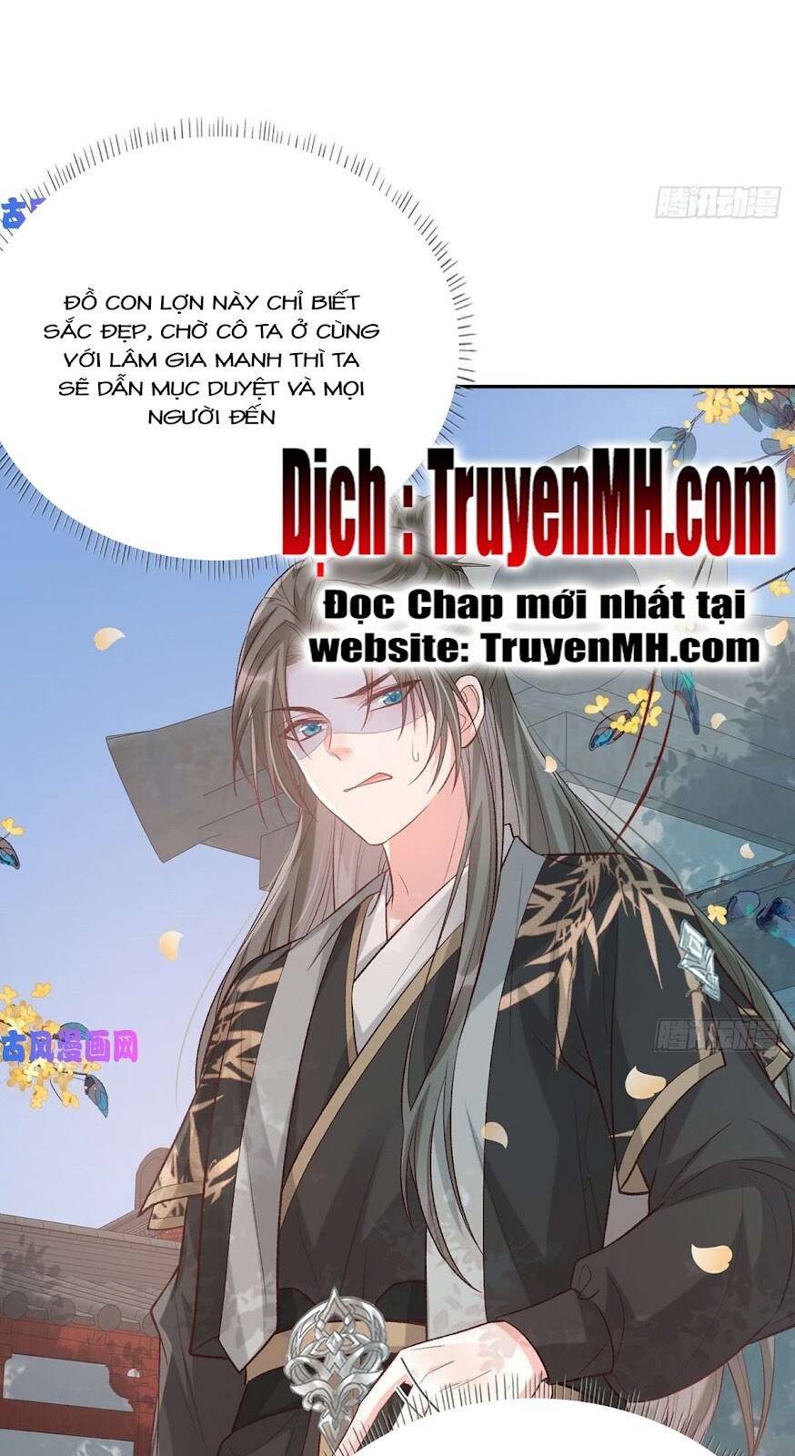 Kiều Mỵ Phu Lang, Tại Tuyến Lục Trà Chapter 62 - 11