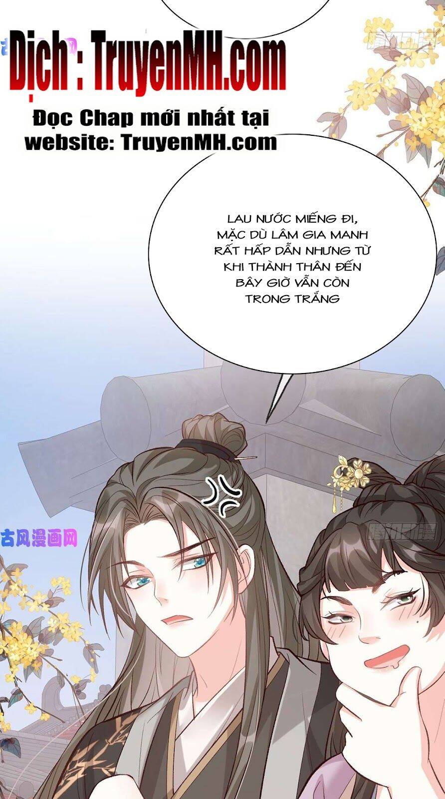 Kiều Mỵ Phu Lang, Tại Tuyến Lục Trà Chapter 62 - 5