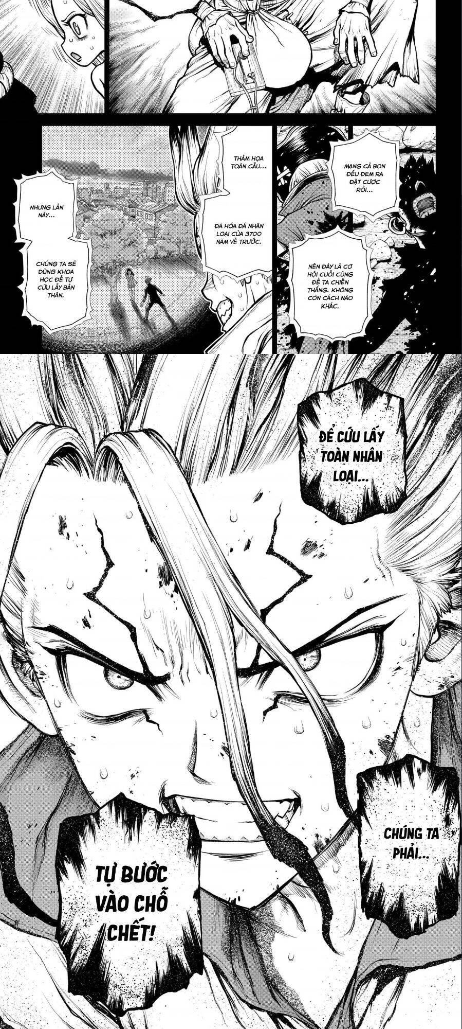 Dr.stone Chapter 191 - 3