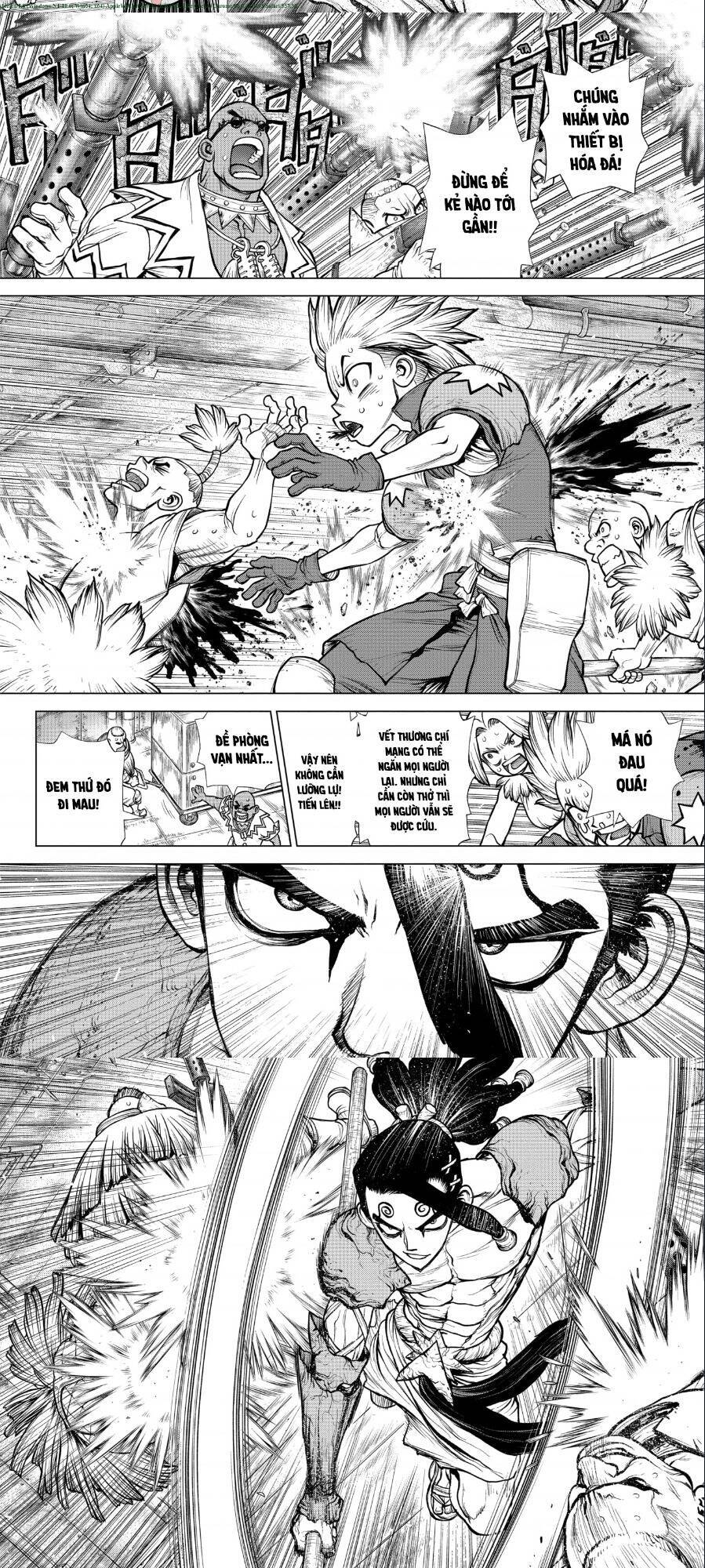 Dr.stone Chapter 191 - 5