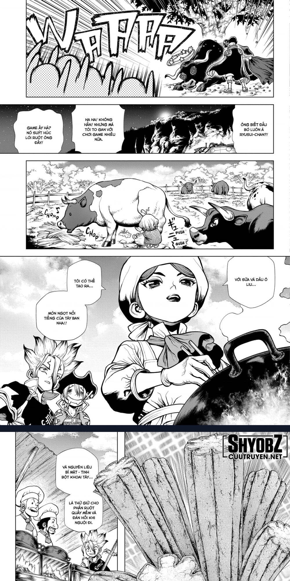 Dr.stone Chapter 202 - 11