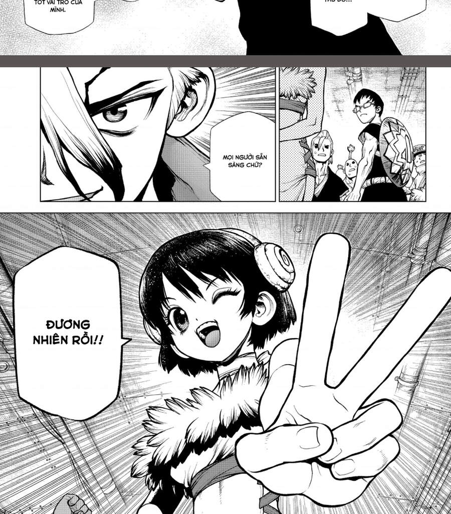 Dr.stone Chapter 206 - 29