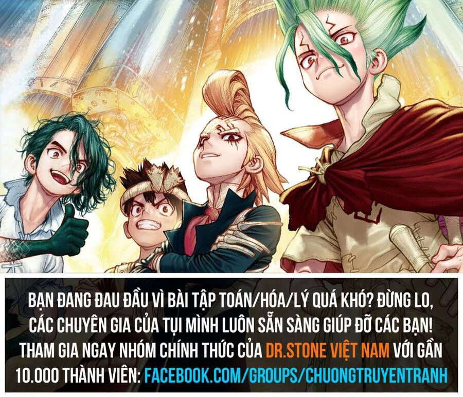 Dr.stone Chapter 232.5 - 13