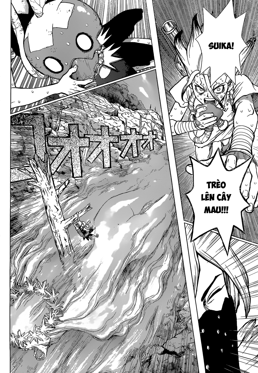 Dr.stone Chapter 49 - 12