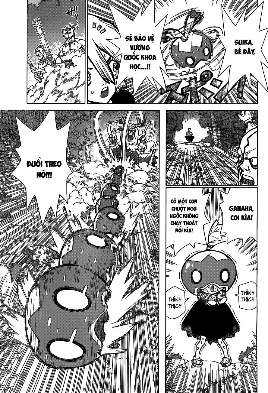 Dr.stone Chapter 49 - 7