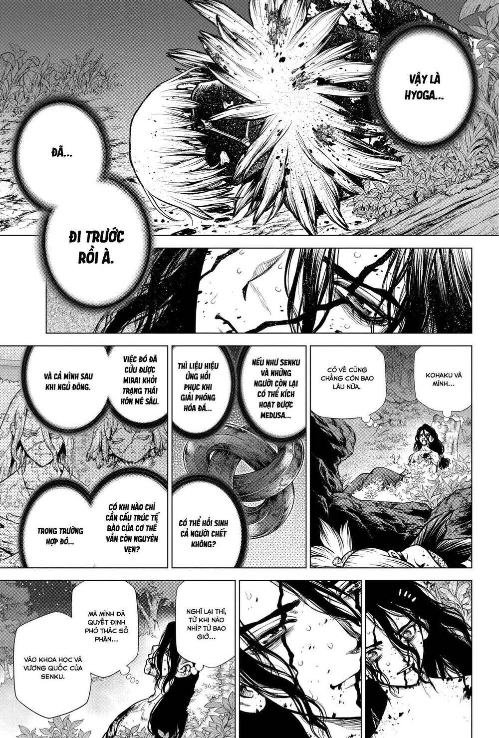 Dr.stone Chapter 188 - 15