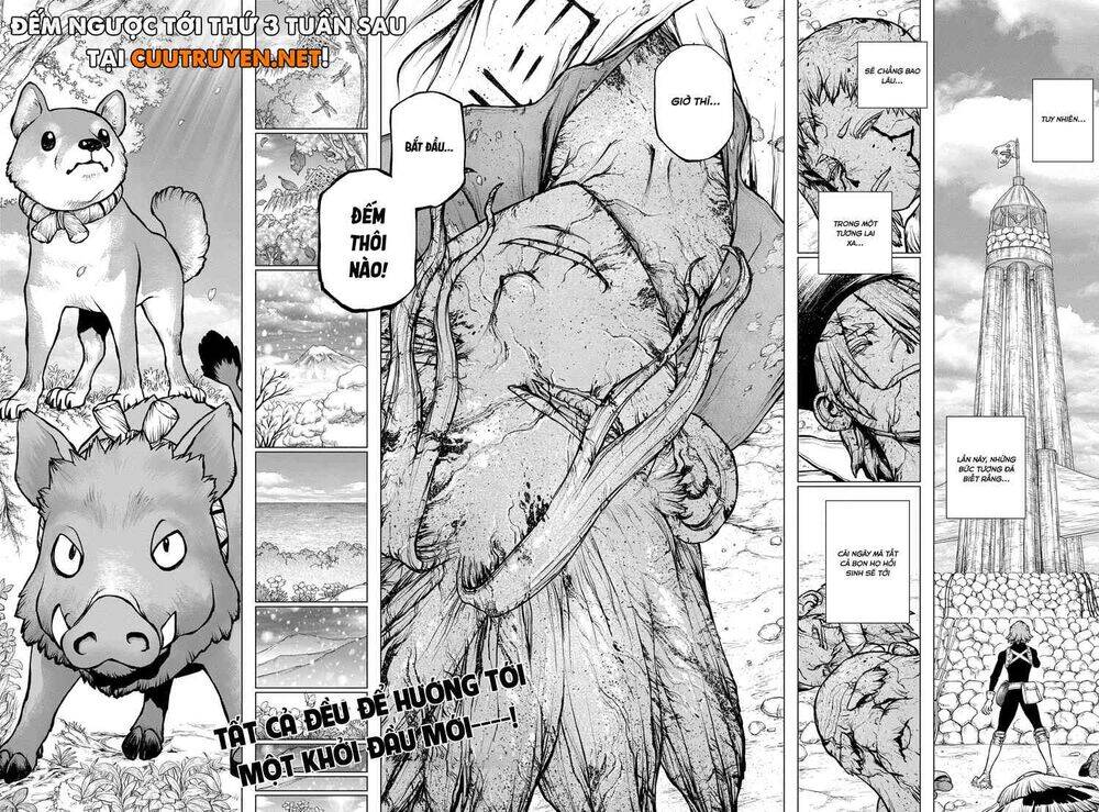 Dr.stone Chapter 193 - 17