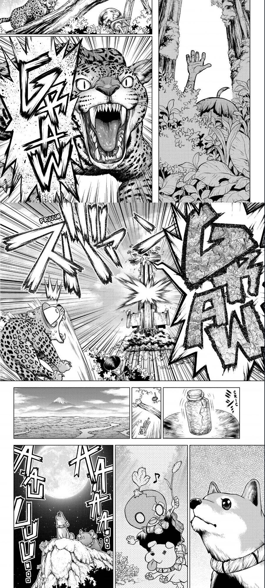 Dr.stone Chapter 194 - 3