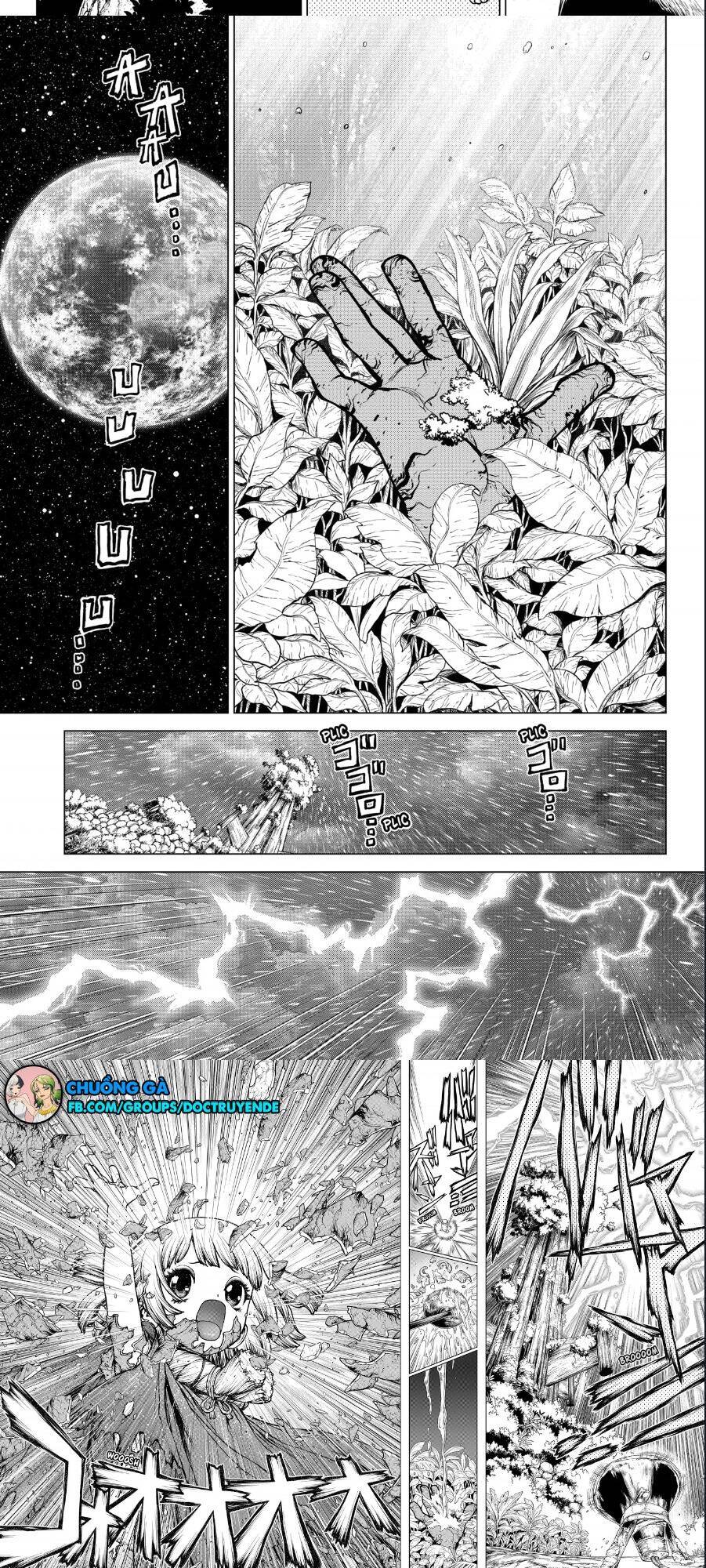 Dr.stone Chapter 194 - 4