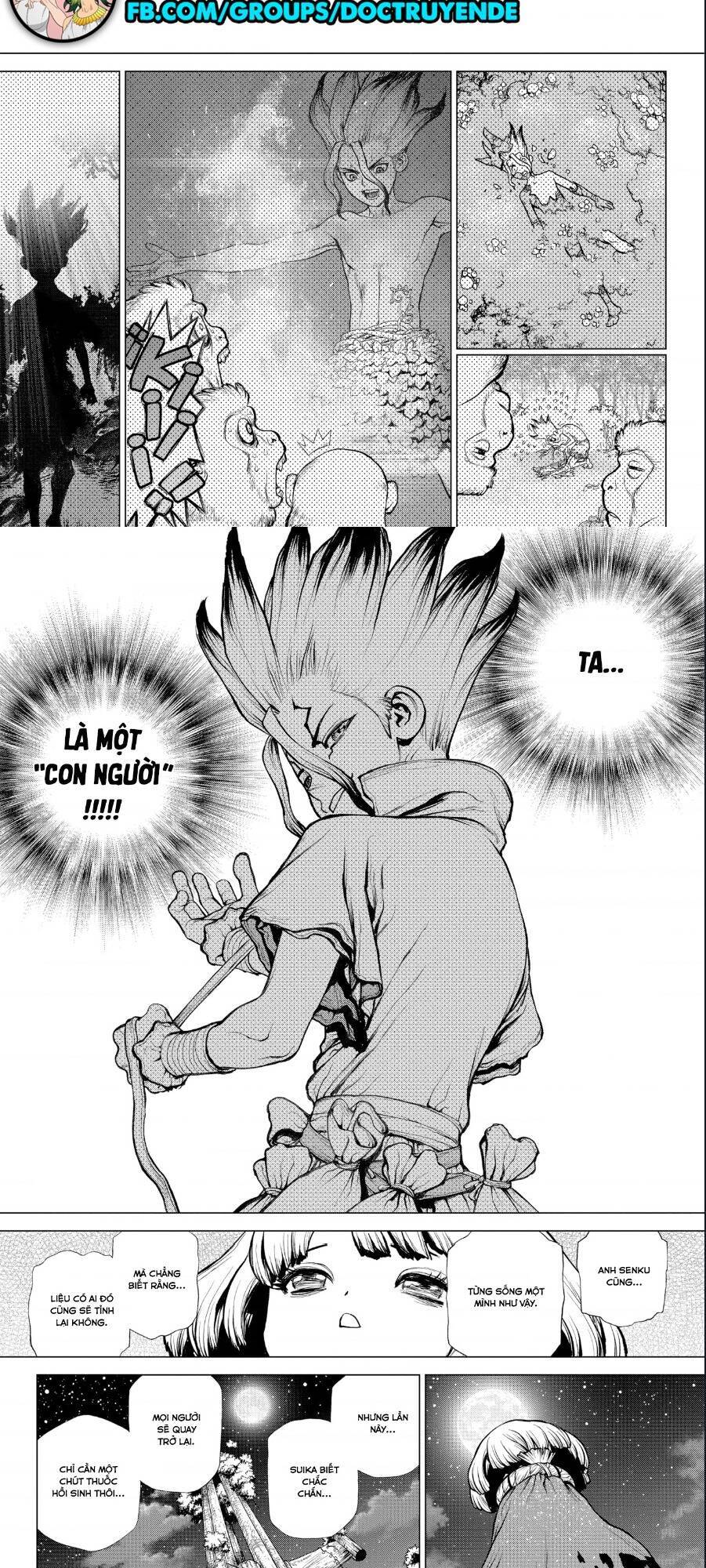 Dr.stone Chapter 194 - 10