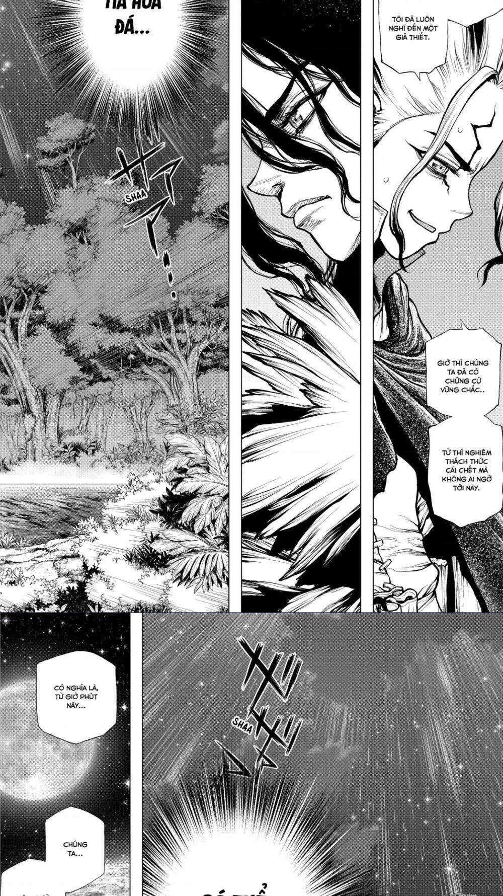 Dr.stone Chapter 197 - 13