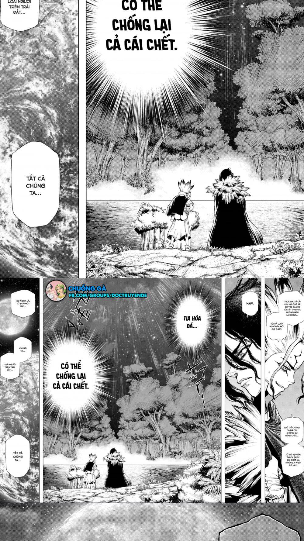 Dr.stone Chapter 197 - 14