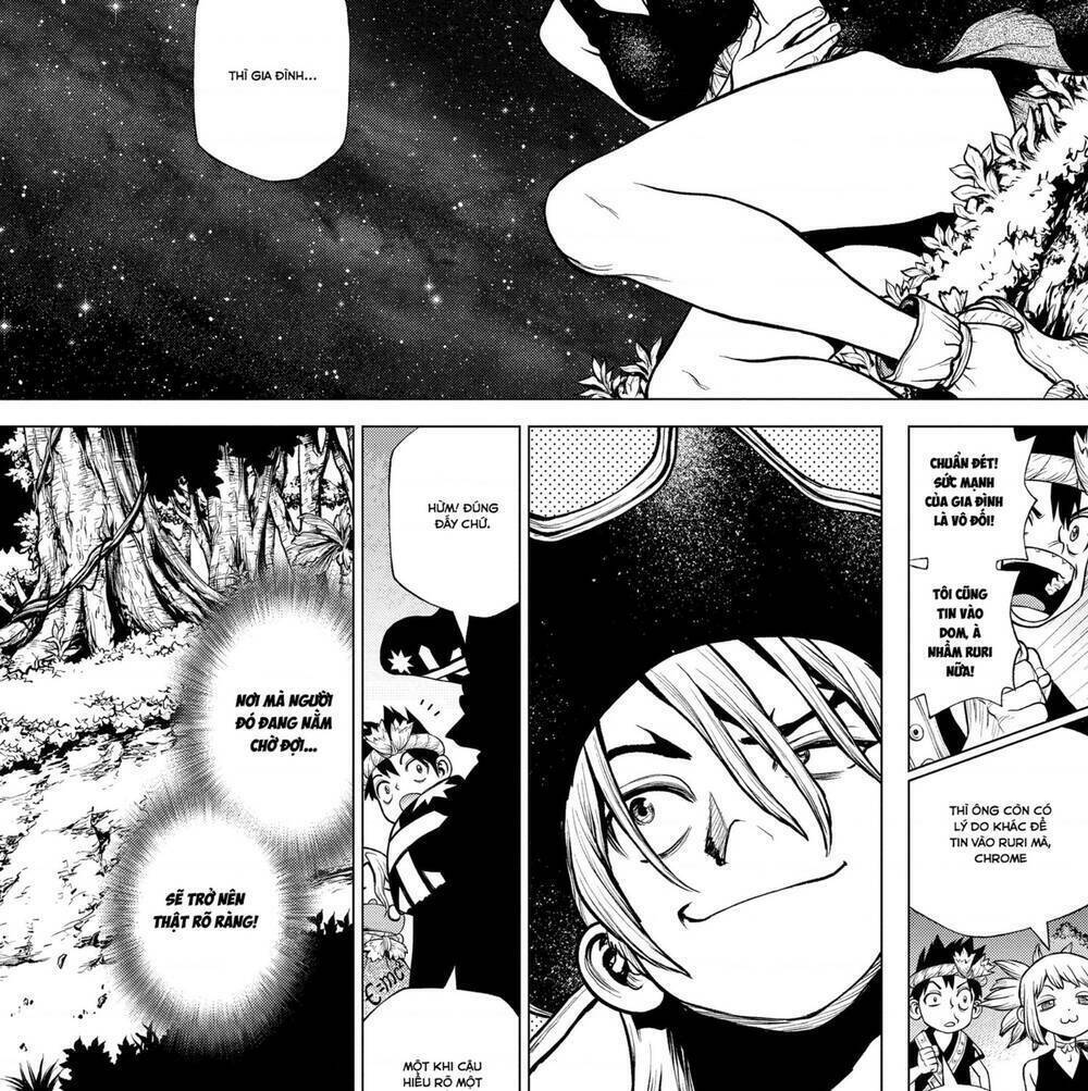 Dr.stone Chapter 204 - 11