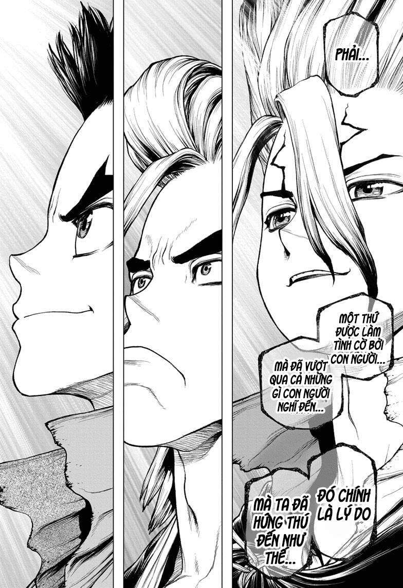 Dr.stone Chapter 208 - 17