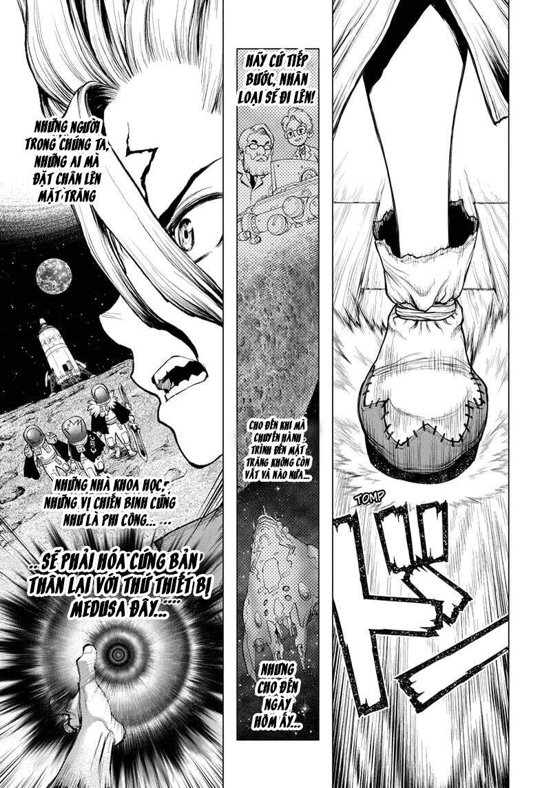 Dr.stone Chapter 209 - 17