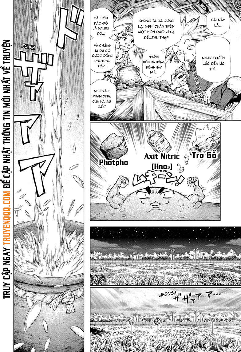 Dr.stone Chapter 211 - 12