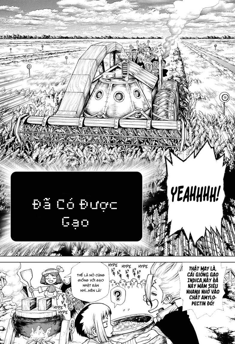 Dr.stone Chapter 211 - 13