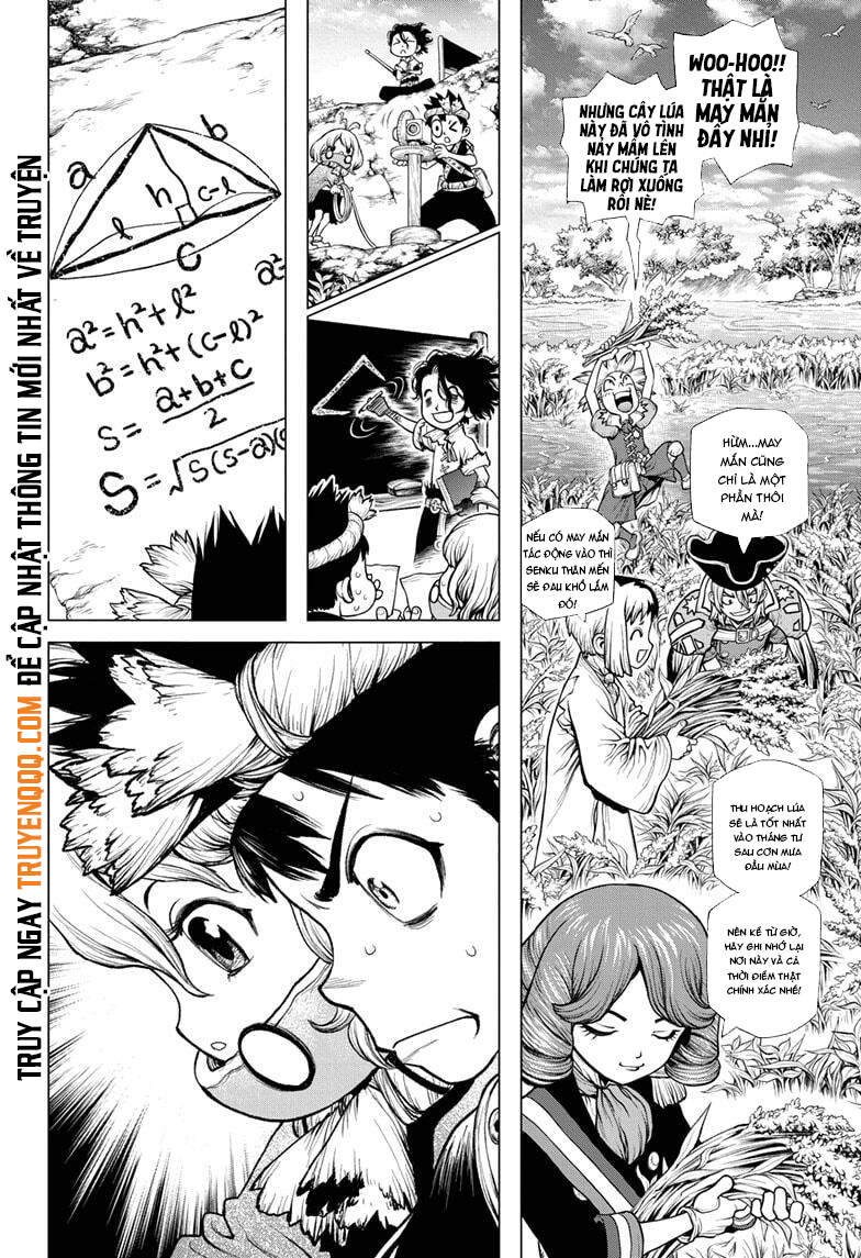 Dr.stone Chapter 211 - 9