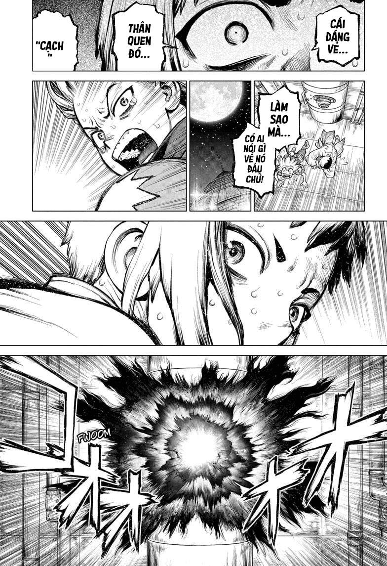 Dr.stone Chapter 213 - 19