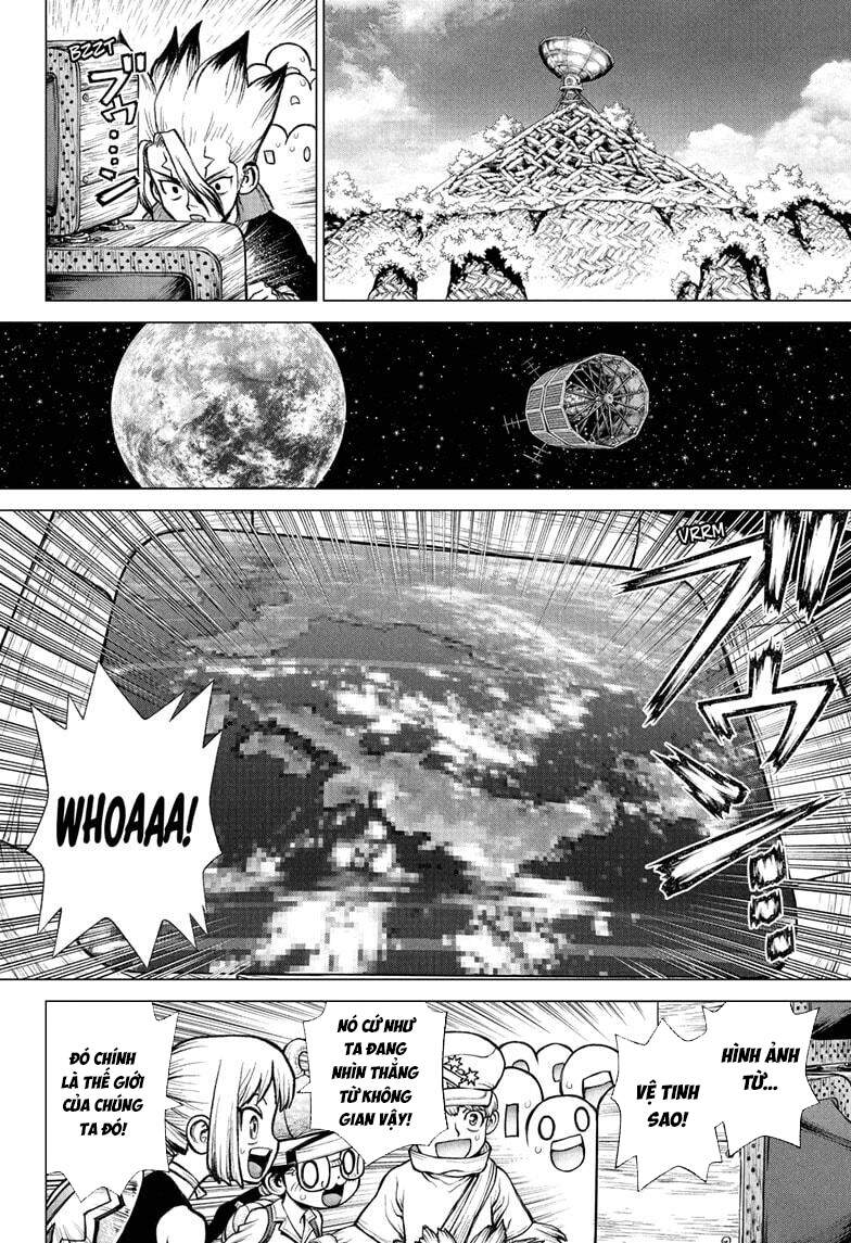 Dr.stone Chapter 216 - 8