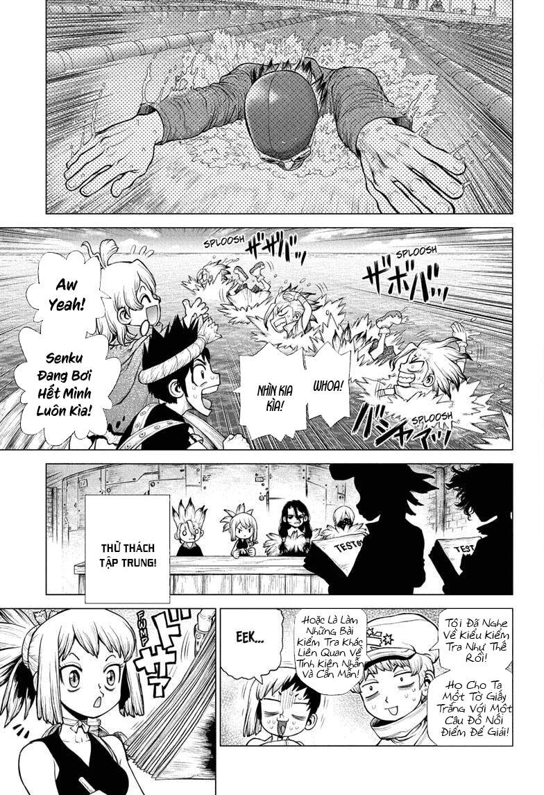 Dr.stone Chapter 219 - 10