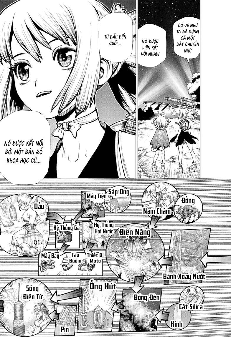 Dr.stone Chapter 222 - 19